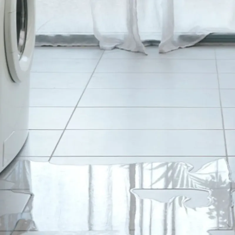 Appliance Leak Cleanup in Post, TX