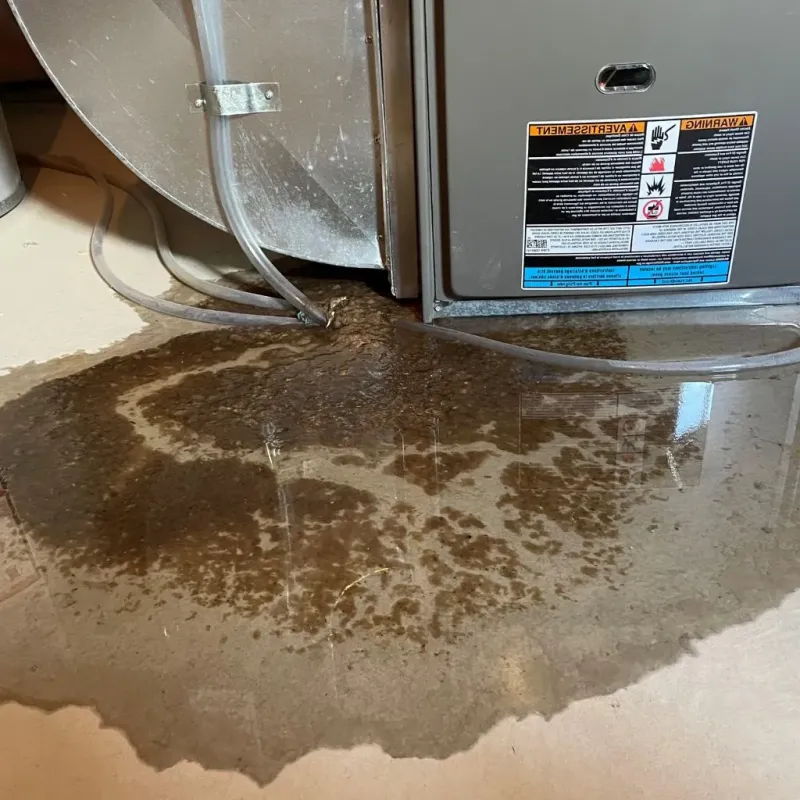 Pipe Burst and Leak Restoration in Post, TX
