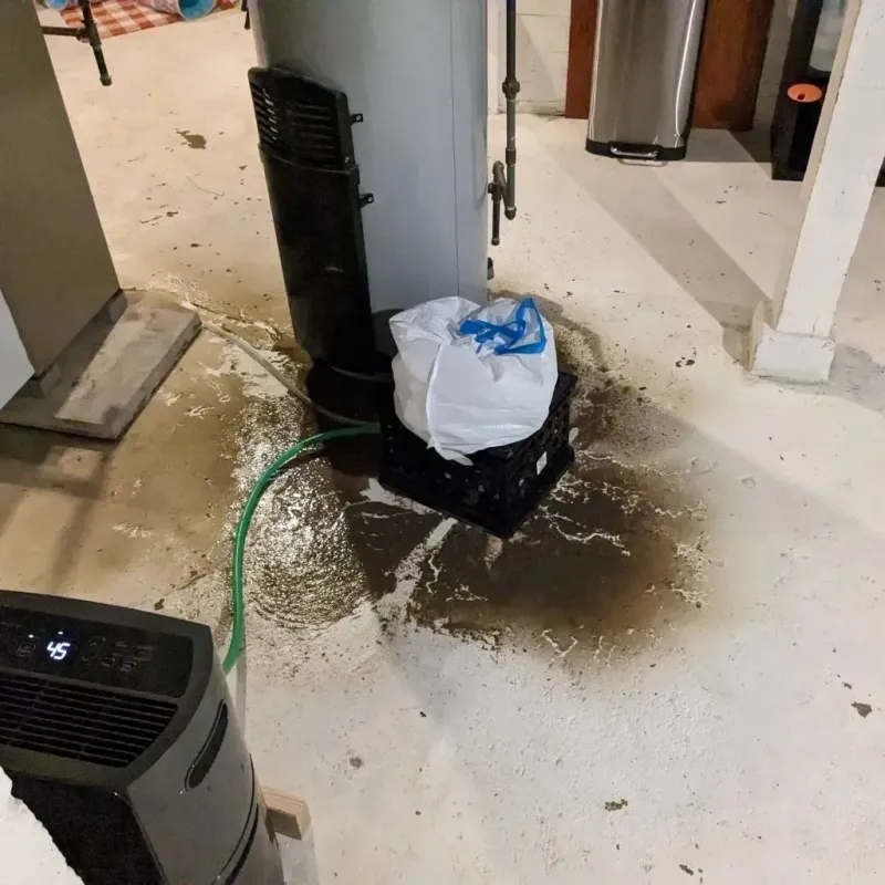 Sewage Backup Cleanup Service in Post, TX